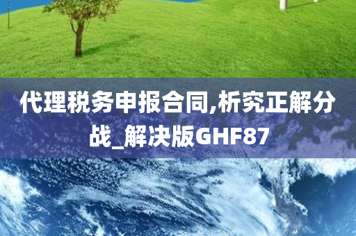 代理税务申报合同,析究正解分战_解决版GHF87