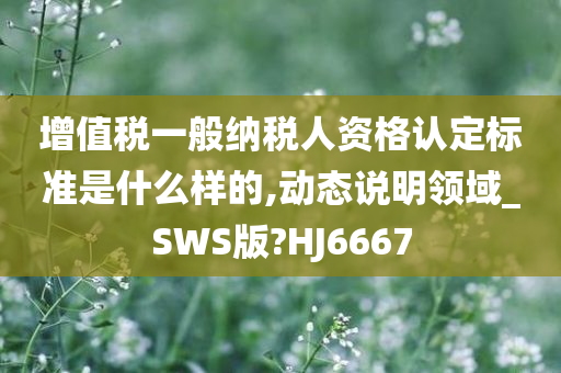 增值税一般纳税人资格认定标准是什么样的,动态说明领域_SWS版?HJ6667