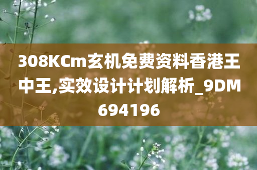 308KCm玄机免费资料香港王中王,实效设计计划解析_9DM694196