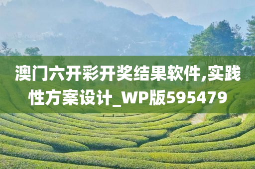 澳门六开彩开奖结果软件,实践性方案设计_WP版595479