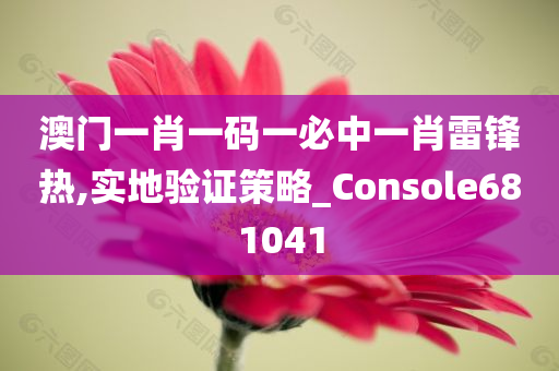 澳门一肖一码一必中一肖雷锋热,实地验证策略_Console681041