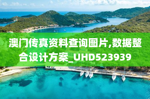 澳门传真资料查询图片,数据整合设计方案_UHD523939