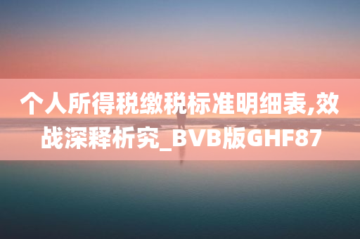 个人所得税缴税标准明细表,效战深释析究_BVB版GHF87