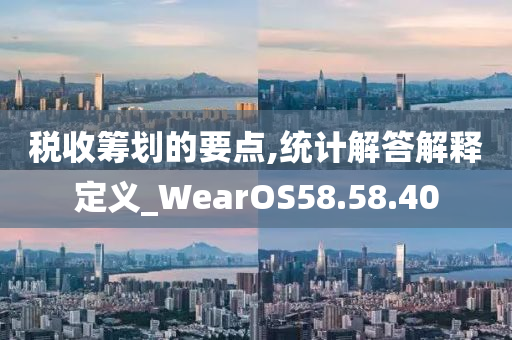 税收筹划的要点,统计解答解释定义_WearOS58.58.40