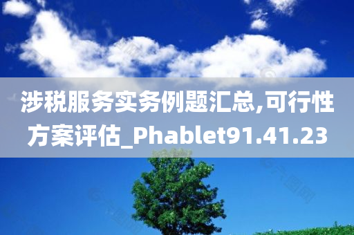 涉税服务实务例题汇总,可行性方案评估_Phablet91.41.23