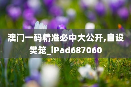 澳门一码精准必中大公开,自设樊笼_iPad687060