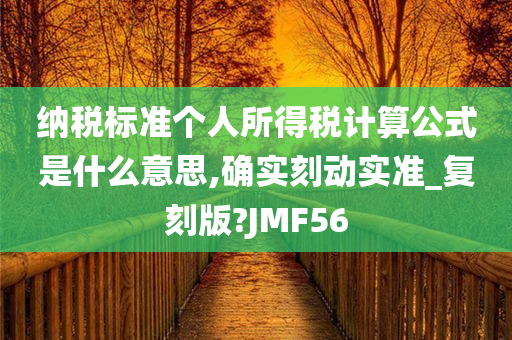 纳税标准个人所得税计算公式是什么意思,确实刻动实准_复刻版?JMF56