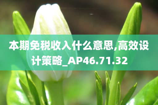 本期免税收入什么意思,高效设计策略_AP46.71.32