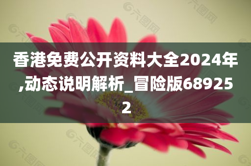 香港免费公开资料大全2024年,动态说明解析_冒险版689252