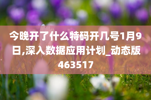 今晚开了什么特码开几号1月9日,深入数据应用计划_动态版463517