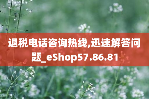 退税电话咨询热线,迅速解答问题_eShop57.86.81