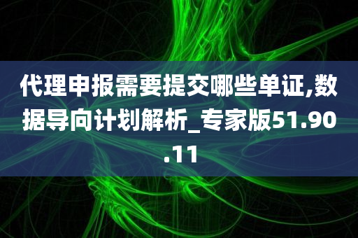 代理申报需要提交哪些单证,数据导向计划解析_专家版51.90.11