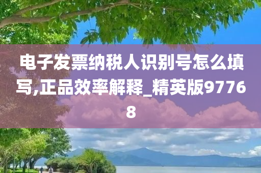 电子发票纳税人识别号怎么填写,正品效率解释_精英版97768