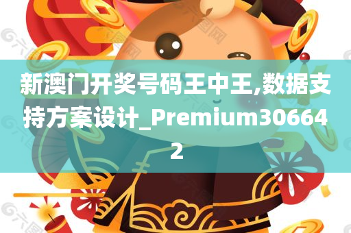 新澳门开奖号码王中王,数据支持方案设计_Premium306642