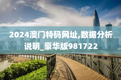 2024澳门特码网址,数据分析说明_豪华版981722