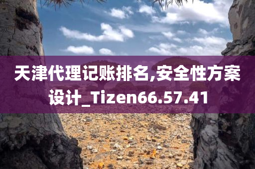 天津代理记账排名,安全性方案设计_Tizen66.57.41