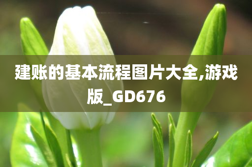 建账的基本流程图片大全,游戏版_GD676