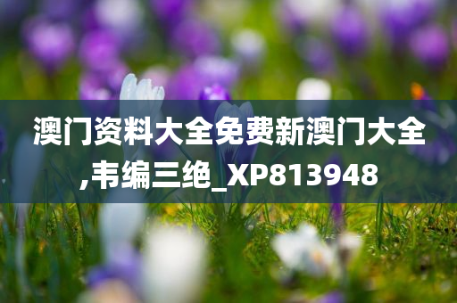 澳门资料大全免费新澳门大全,韦编三绝_XP813948