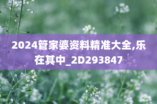 2024管家婆资料精准大全,乐在其中_2D293847