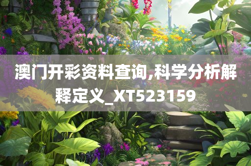 澳门开彩资料查询,科学分析解释定义_XT523159