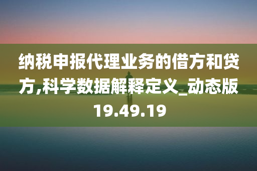 纳税申报代理业务的借方和贷方,科学数据解释定义_动态版19.49.19