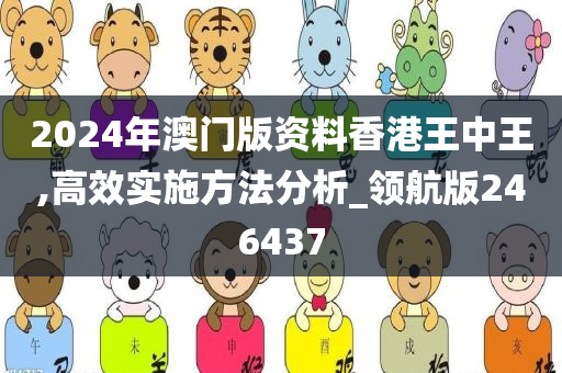 2024年澳门版资料香港王中王,高效实施方法分析_领航版246437