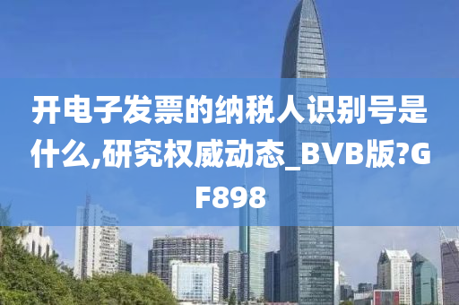 开电子发票的纳税人识别号是什么,研究权威动态_BVB版?GF898