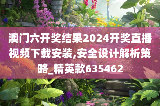 澳门六开奖结果2024开奖直播视频下载安装,安全设计解析策略_精英款635462