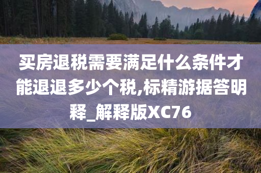 买房退税需要满足什么条件才能退退多少个税,标精游据答明释_解释版XC76