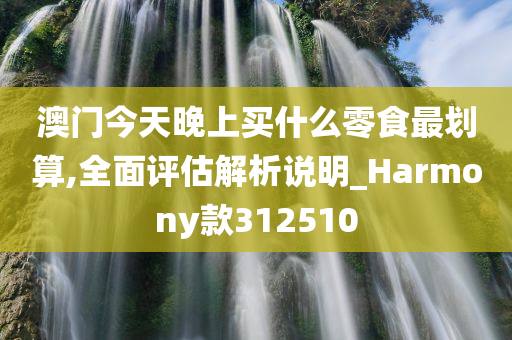 澳门今天晚上买什么零食最划算,全面评估解析说明_Harmony款312510