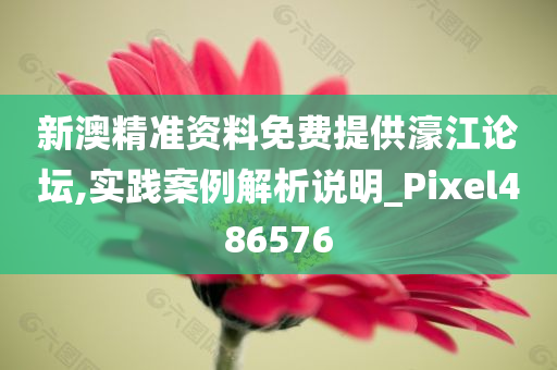 新澳精准资料免费提供濠江论坛,实践案例解析说明_Pixel486576