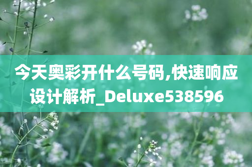 今天奥彩开什么号码,快速响应设计解析_Deluxe538596