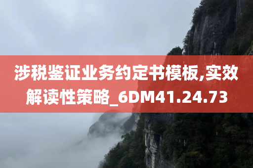 涉税鉴证业务约定书模板,实效解读性策略_6DM41.24.73