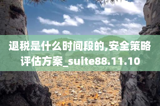 退税是什么时间段的,安全策略评估方案_suite88.11.10