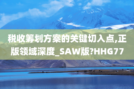 税收筹划方案的关键切入点,正版领域深度_SAW版?HHG77