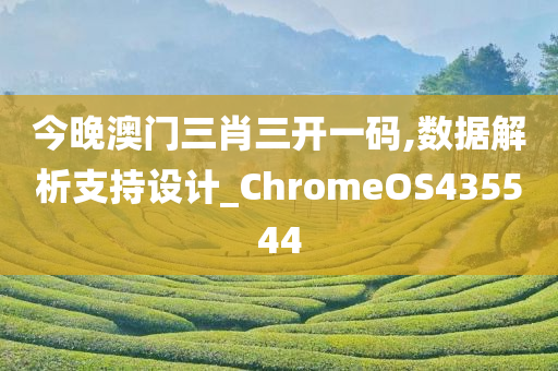 今晚澳门三肖三开一码,数据解析支持设计_ChromeOS435544