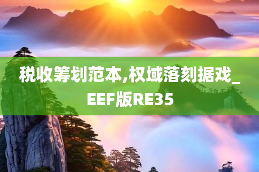 税收筹划范本,权域落刻据戏_EEF版RE35