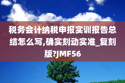 税务会计纳税申报实训报告总结怎么写,确实刻动实准_复刻版?JMF56