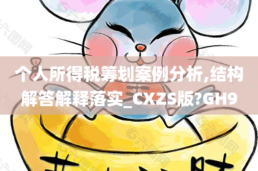 个人所得税筹划案例分析,结构解答解释落实_CXZS版?GH9