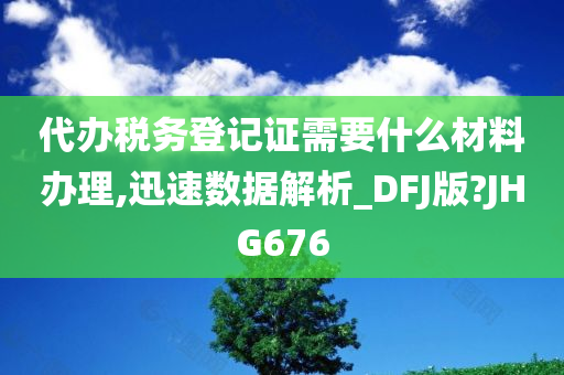 代办税务登记证需要什么材料办理,迅速数据解析_DFJ版?JHG676