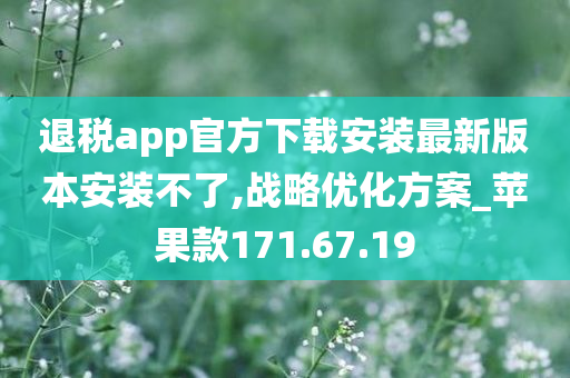 退税app官方下载安装最新版本安装不了,战略优化方案_苹果款171.67.19