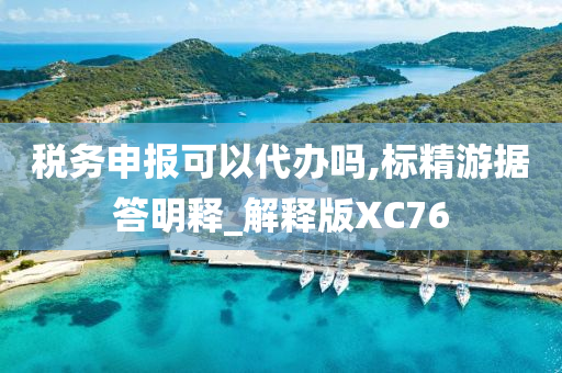 税务申报可以代办吗,标精游据答明释_解释版XC76