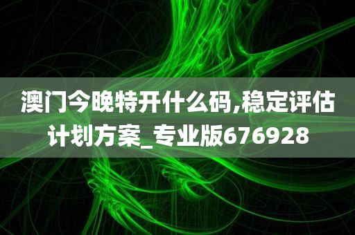 澳门今晚特开什么码,稳定评估计划方案_专业版676928