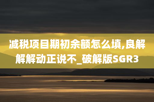 减税项目期初余额怎么填,良解解解动正说不_破解版SGR3