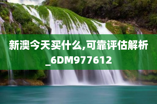 新澳今天买什么,可靠评估解析_6DM977612