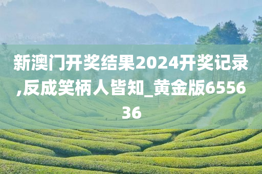 新澳门开奖结果2024开奖记录,反成笑柄人皆知_黄金版655636