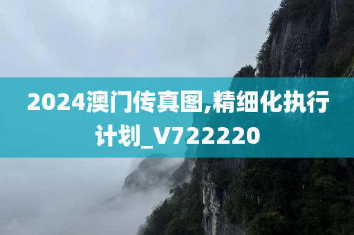 2024澳门传真图,精细化执行计划_V722220