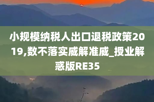 小规模纳税人出口退税政策2019,数不落实威解准威_授业解惑版RE35