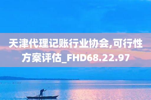 天津代理记账行业协会,可行性方案评估_FHD68.22.97