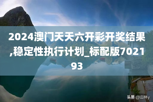 2024澳门天天六开彩开奖结果,稳定性执行计划_标配版702193